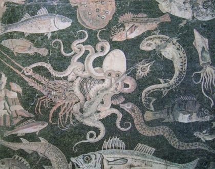 Tracce di romanità, grecità e oriente nella cucina partenopea: il pesce  (parte 1)