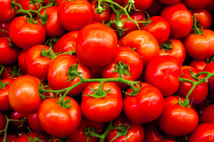 Pomodori settembre