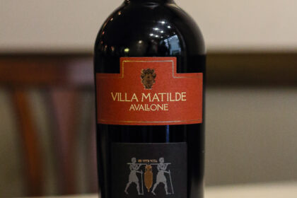 Alle radici del Falerno, il vino creato da Bacco stesso alle pendici del Monte Massico